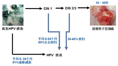 HPV E6/E7 mRNA检测