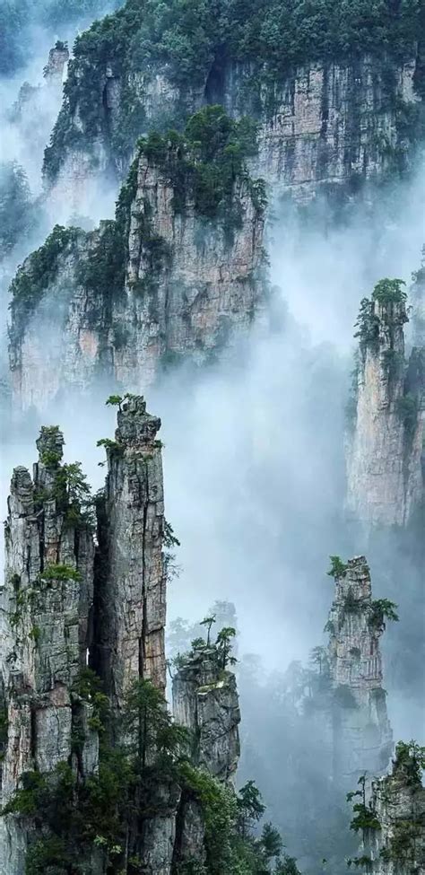 八大公山国家级自然保护区（湖南省张家界的国家级自然保护区）_摘编百科
