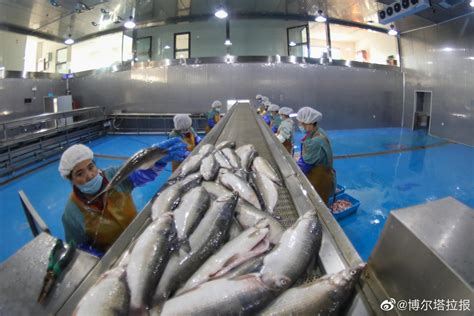 中洋渔业种质种业将全面爆发-江苏中洋集团股份有限公司