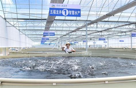 市财政局调研湖北省水产绿色健康养殖“五大行动”长春鳊水产种业质量提升项目建设情况