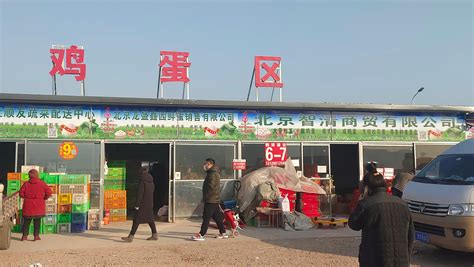 货足价稳！春节将至，记者实地探访水屯农贸批发市场_北京日报网