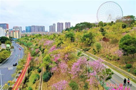 畅享多彩生活！打卡南宁市青秀区，千万别错过这些地方