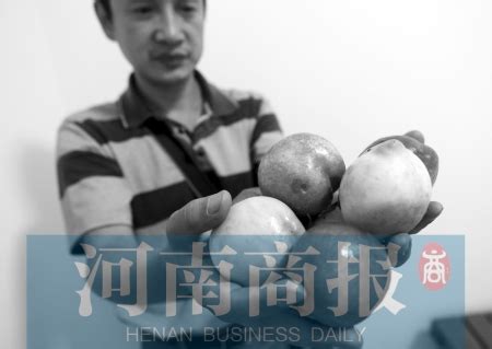 河南3人偷摘科研所200多斤“桃子” 造成损失不可估量_凤凰网