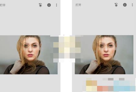 snapseed手机修图软件怎么把人头像 snapseed如何换人头_历趣