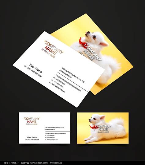 宠物店小动物名片设计图片下载_红动中国