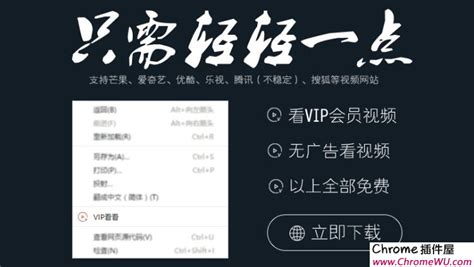 VIP看看：一款免费看各大视频网站会员VIP视频的插件 | Chrome插件屋