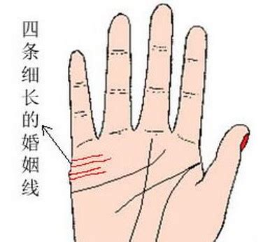 女人手掌纹路图解右手感情线 尾端分岔的感情线勇于尝试（感情线） - 匠子生活
