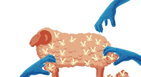 “羊毛党”和“薅羊毛”是什么意思？ | 布丁导航网
