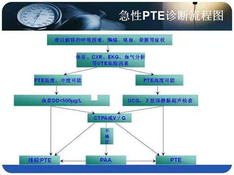 VTE的预防及护理ppt课件-麦克PPT网