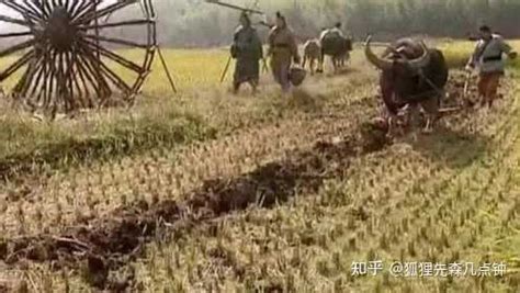 中国古代农业的耕作方式是什么？刀耕火种、精耕细作、集体劳作、个体农耕这些概念之间又是什么关系？ - 知乎