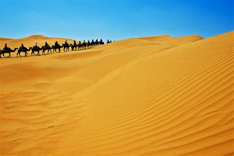 豪情大漠|文章|中国国家地理网