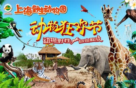 上海野生动物园门票多少钱一张 优惠政策老年人_旅泊网