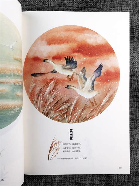 画匣子封面图片