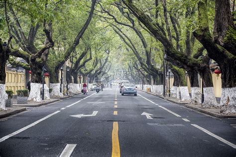 南京的马路高清图片下载-正版图片500868742-摄图网