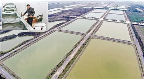 南通推进水产养殖业绿色发展，划定37万余亩禁限养区_我苏网