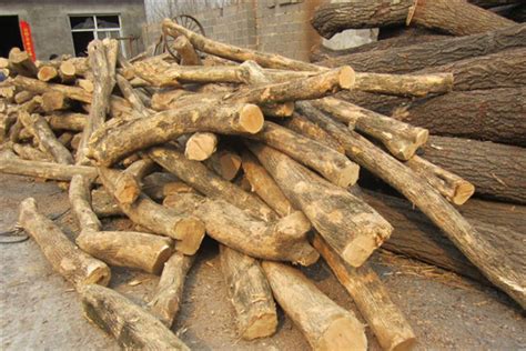 世界上硬度排名前十的木材，你知道几种呢？ - 知乎