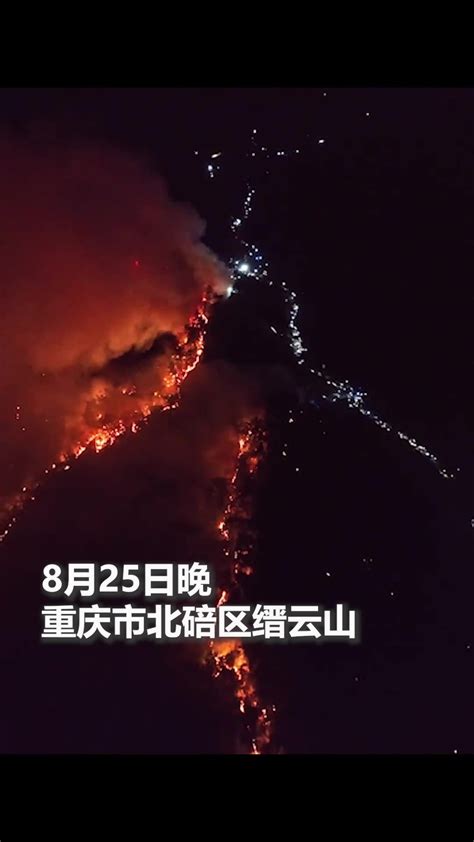 山火扑灭，重庆这十天经历了什么？