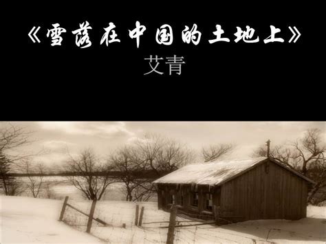 雪落在中国的土地上-雪落在中国的土地上,雪,落,在,中国,土地上 - 早旭阅读