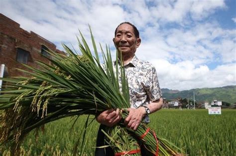 海水稻两上热榜的背后，有一种东西不容被忽视