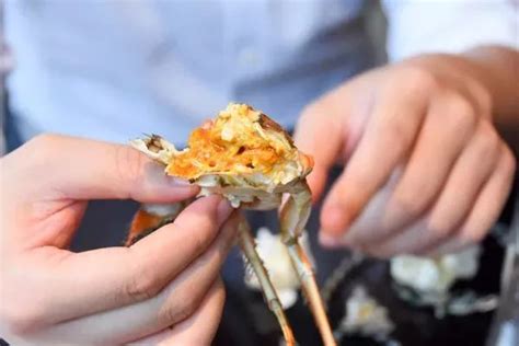 金秋时节，如约而至 上海大酒店 “王宝和大闸蟹”畅享自助晚餐 将于2023年9月28日起 正式回归 | Noblesse