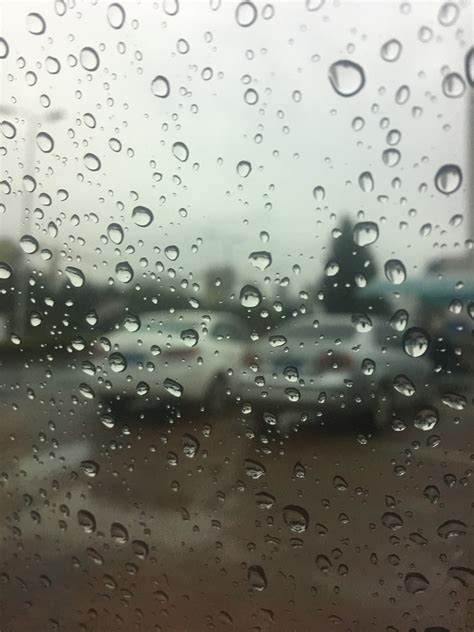 【雨中即景摄影图片】厦门生态摄影_瞬间精彩_太平洋电脑网摄影部落