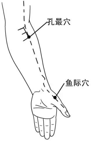 孔最的准确位置图图片 孔最的准确位置图图片