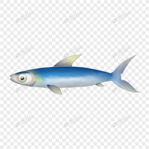 怎么辨认沙丁鱼 - 业百科