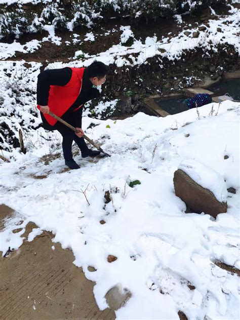 葛湾村组织科普志愿者清理村内道路积雪