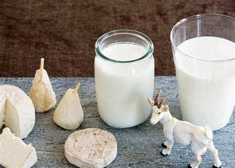 羊奶和牛奶哪个好（牛奶和羊奶有什么区别） - 生活 - 布条百科