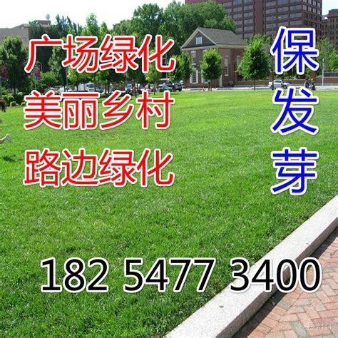 草坪出售|草坪批发|北京草坪价格-北京专业草坪种植园