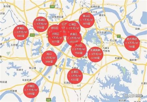 11月武汉房价地图出炉！看看江夏、光谷的房价是多少了？_房产资讯_房天下