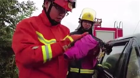 俄罗斯一养猪场发生大火 消防员救出近150头猪_新闻中心_中国网