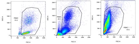 PNAS：细胞毒性CD4 T细胞竟是长寿的关键-观察-生物探索