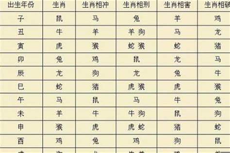 12生肖五行(pp代表什么意思)_财运_若朴堂文化