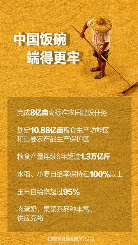 【海报】回眸“十三五”——农业农村大发展-千龙网·中国首都网
