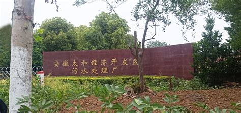河南沁阳∶南太行生态修复项目区秋景迷人 -大河网