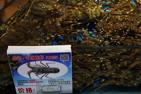 带你看真实的海南三亚海鲜市场，一只大龙虾160元，贵吗？