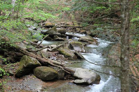 森林里有石头的河流野高清图片下载-正版图片505305156-摄图网