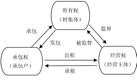图 3 “三权分置”土地产权结构示意图