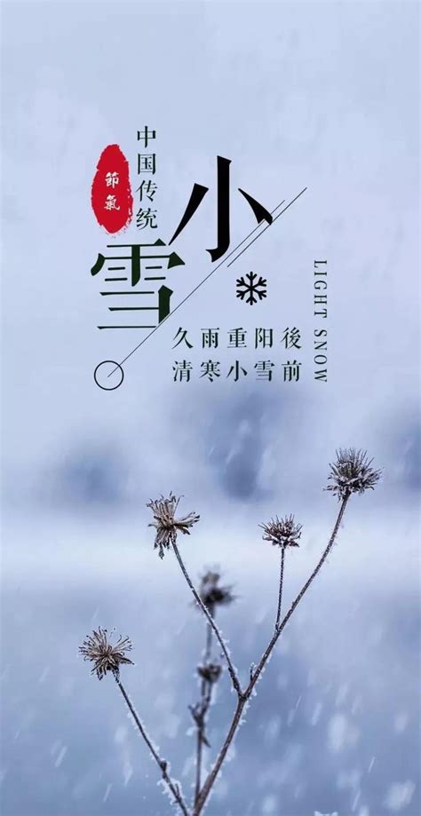 描写雪花的诗句古诗大全（关于描写雪的经典诗句） - 圈外100