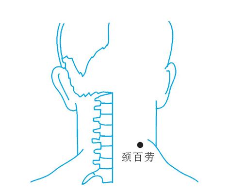 百劳的准确位置图图片 百劳的准确位置图图片