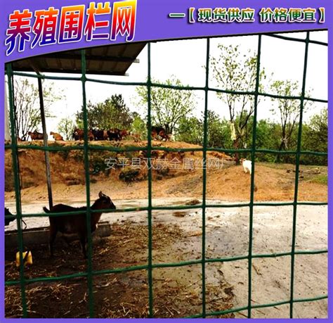 养殖网围栏批发价格 养鸡围栏铁丝网 鱼塘围栏网 网片厂家