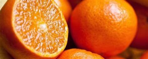 橙子寓意,大橙橙橙子_大山谷图库