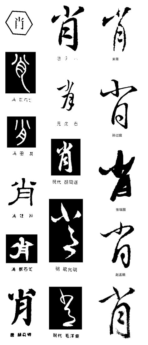 十二生肖|平面|字体/字形|mengshaowu - 原创作品 - 站酷 (ZCOOL)