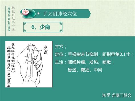 手太阴肺经经络图图片 手太阴肺经经络图图片