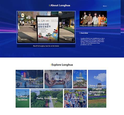 深圳龙华：打造集成式、多元化、国际化线上信息服务平台--成果展示