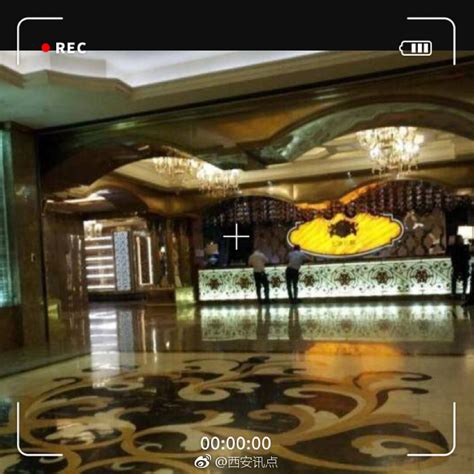 北京八号公馆加纳利海枣树 - 仿真海枣树 - 北京棕榈树技术开发有限公司