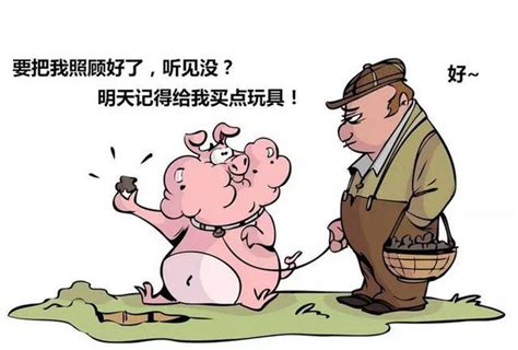 郑州1500斤大猪成“猪王” 可以当牛骑_海口网