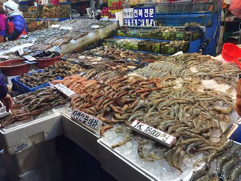 广东哪个城市海鲜最好吃？必选的5个城市 告诉你什么是真正的海鲜_湛江
