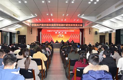 我院圆满完成基层党支部换届选举工作-天津滨海职业学院